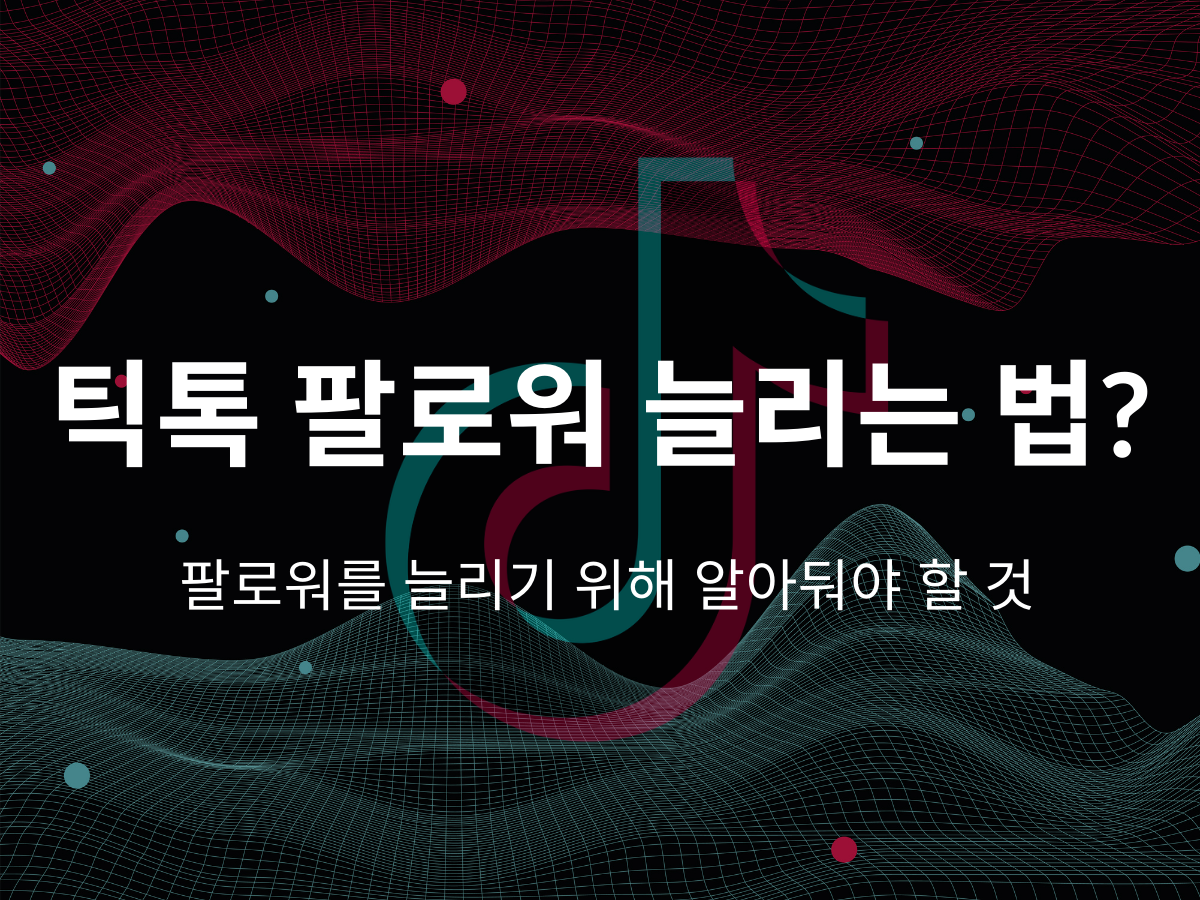 틱톡 팔로워 늘리는 법? 팔로워를 늘리기 위해 알아둬야 할 것