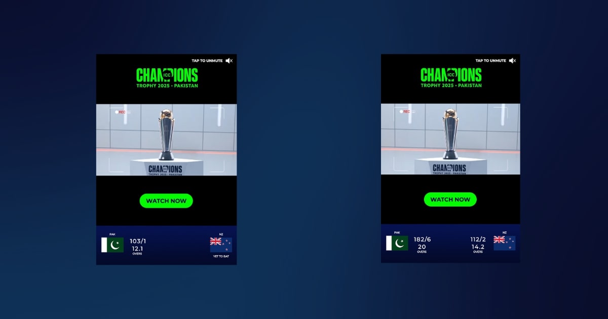 Describe what the image means here